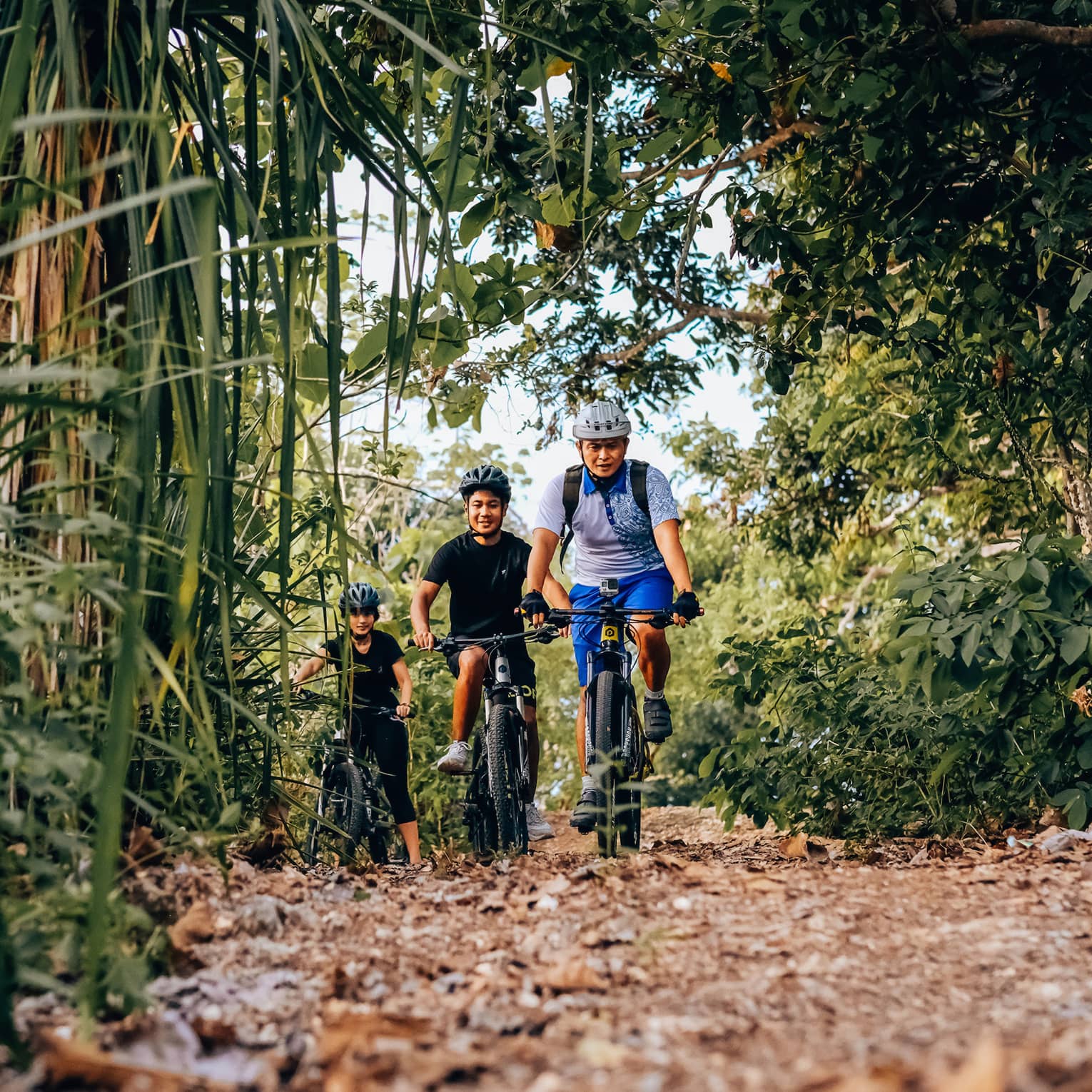 Three friends bike through the bamboo forest