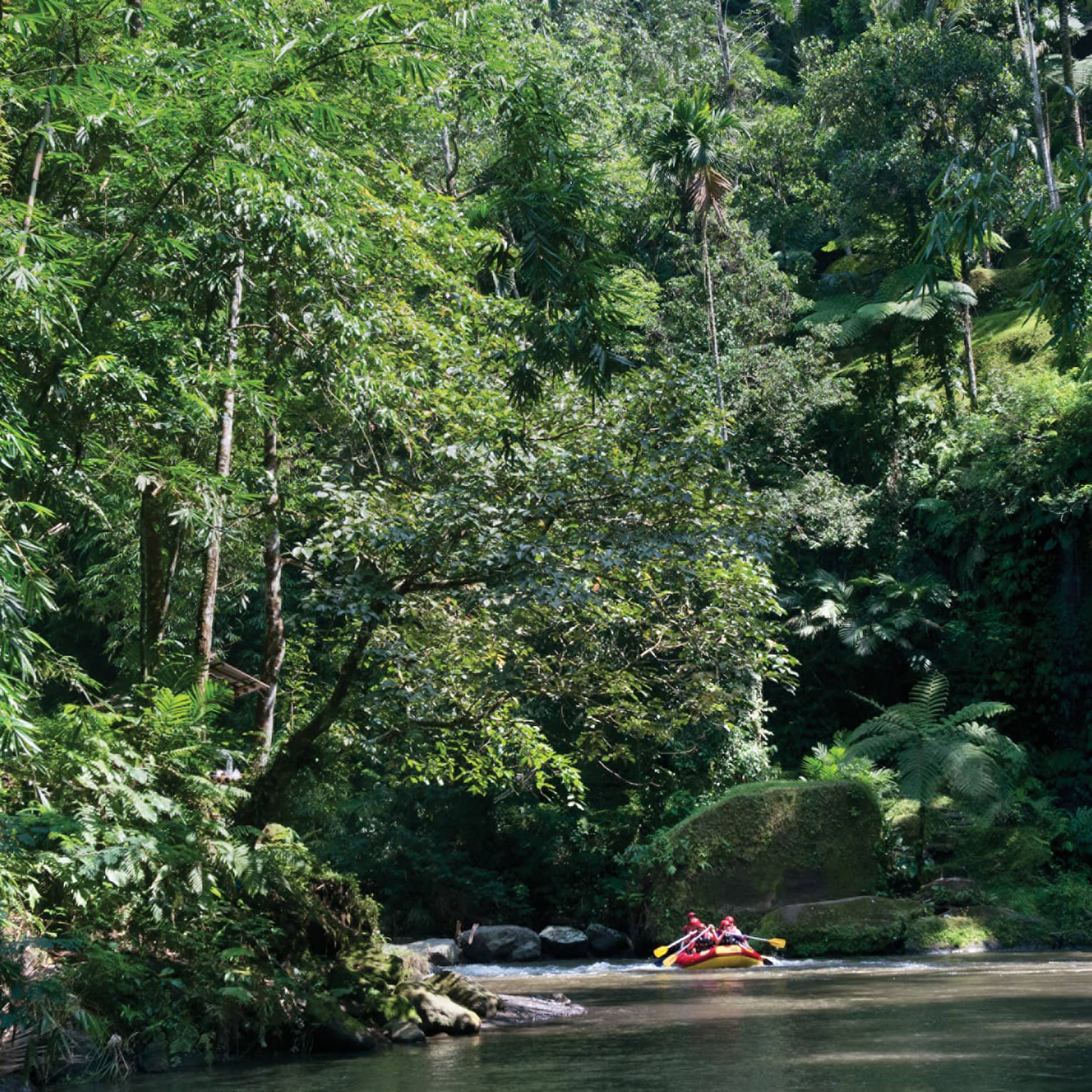 People water rafting along Ayung River beneath trees