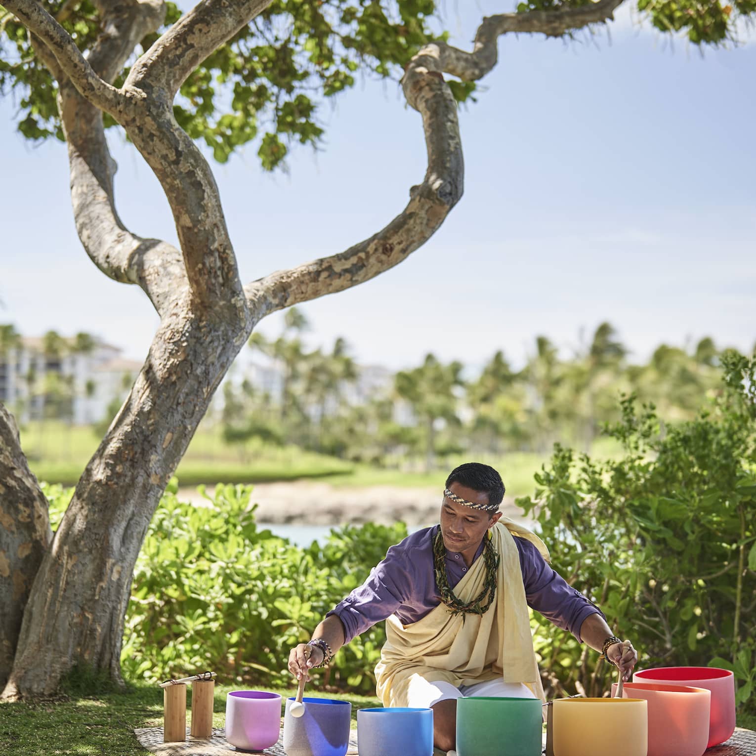 A man sits beneath a tree encircled by singing bowls of varying sizes and colours