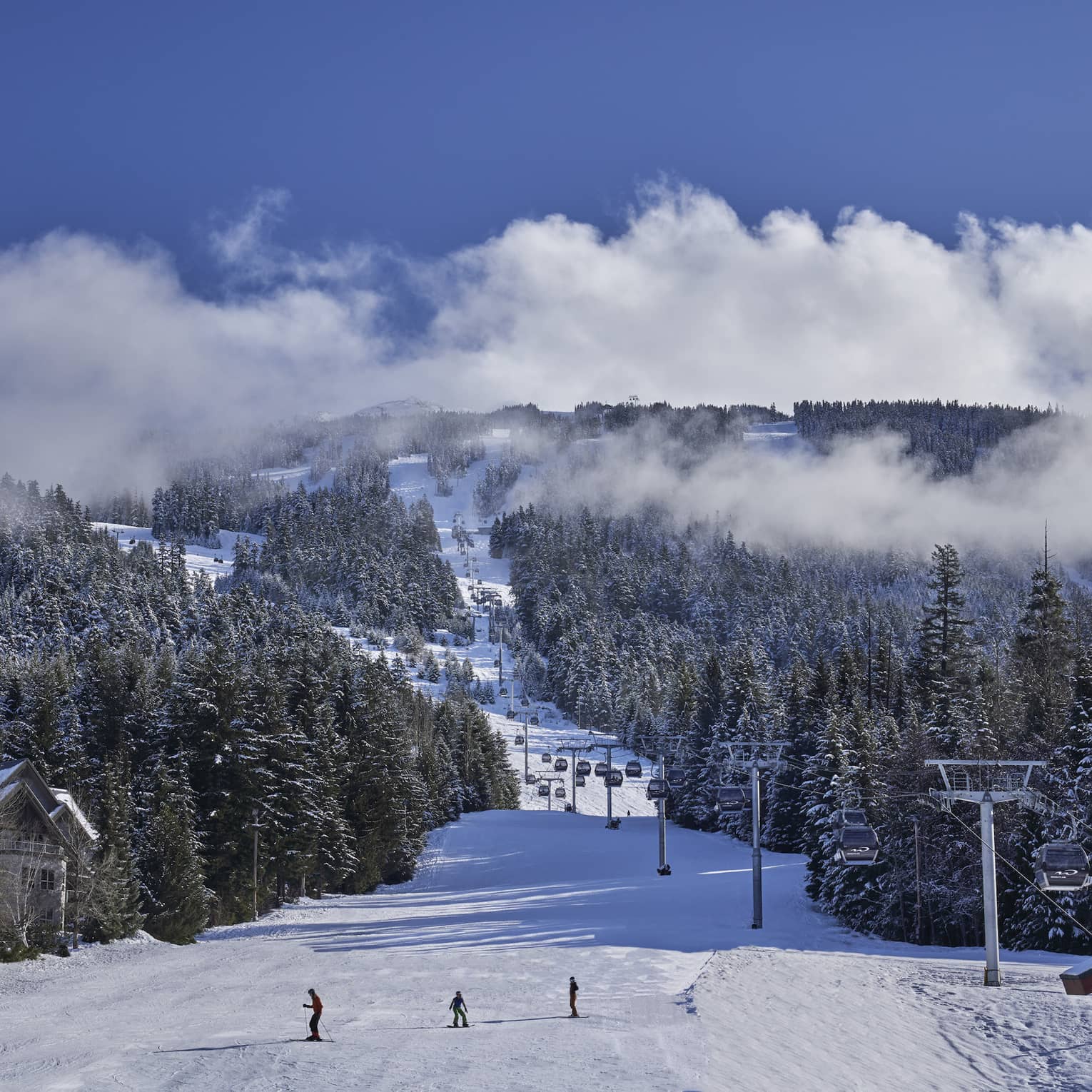 Ski slope lined with snow-dusted evergreen trees on either side and clouds billowing around the top of the slope that lies further up the mountain