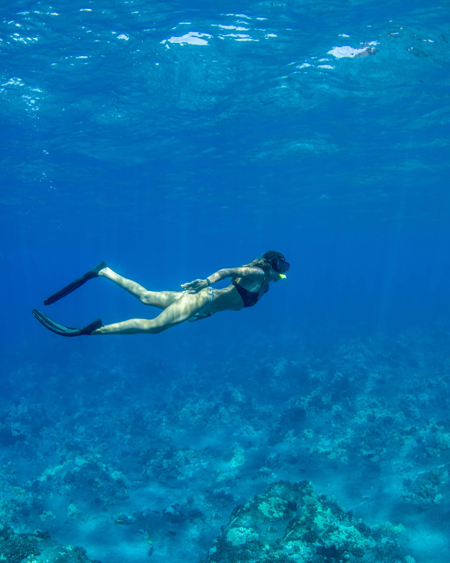 A snorkeller in black flippers and mask explores a rocky coral reef below, as rays of sunlight filter from above the blue water.