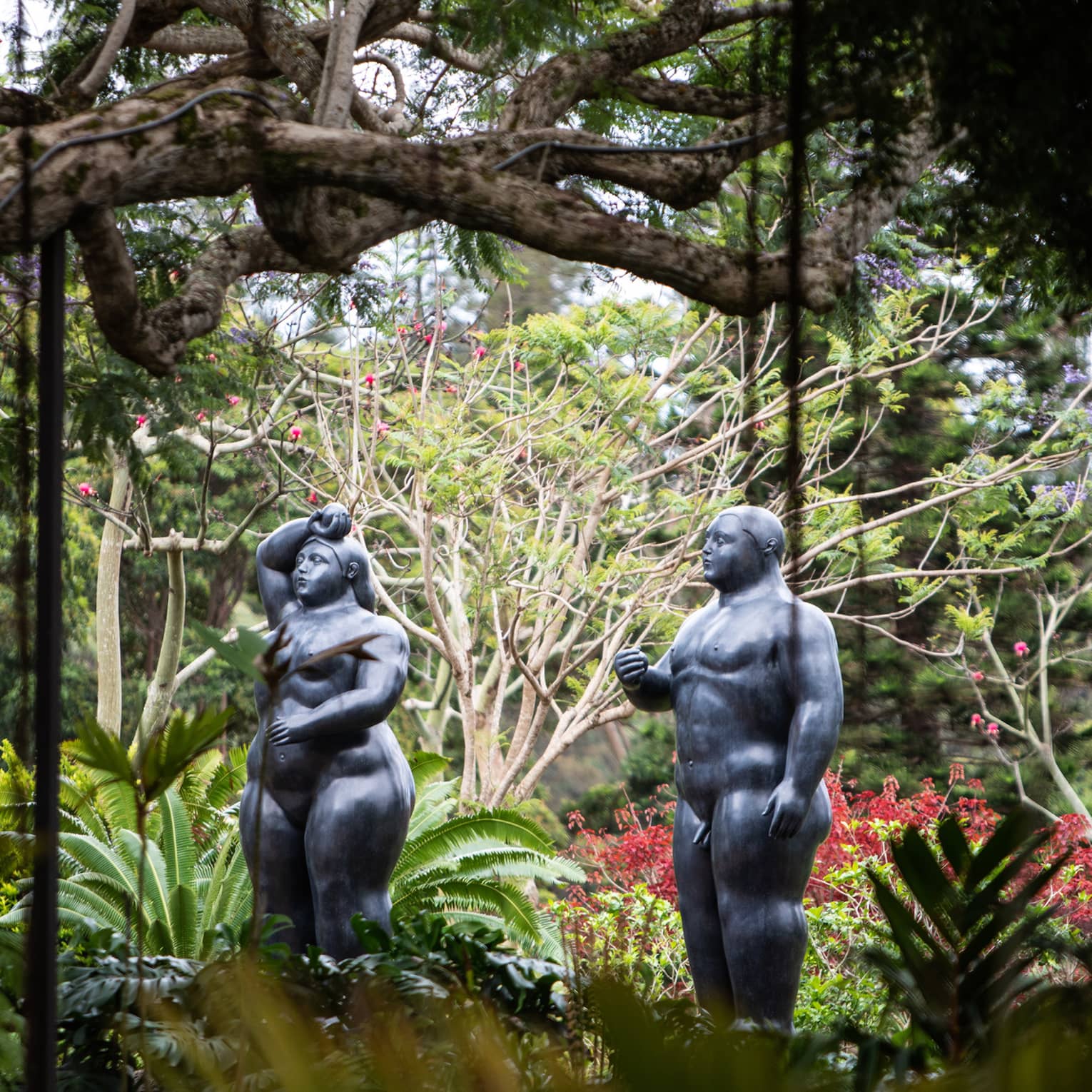 Side view of two dark-stone statues of voluptuous nudes amid a lush tropical forest with dangling vines and mixed vegetation.