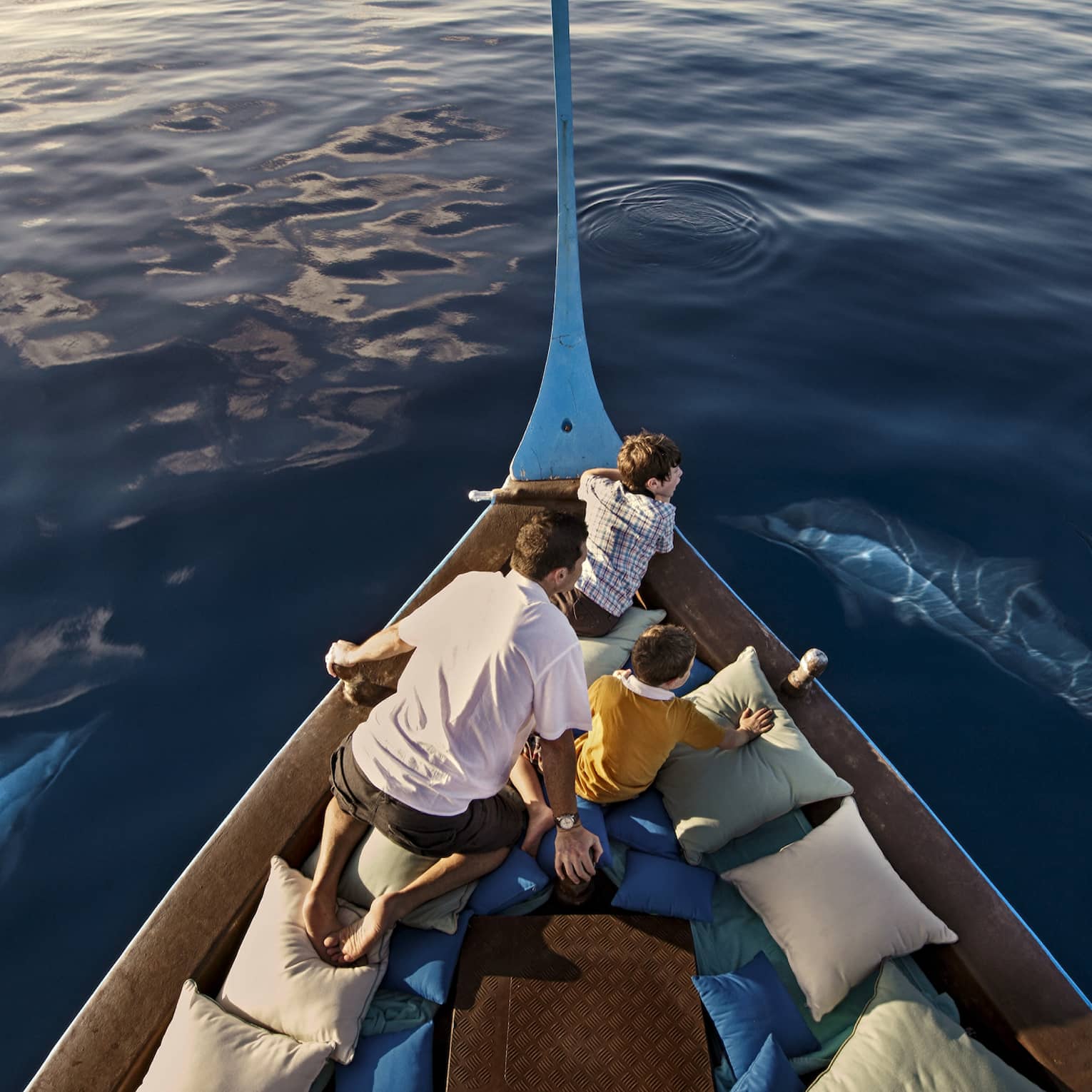 A man and two boys sit in a boat lined with blue and white pillows as dolphins swim around them