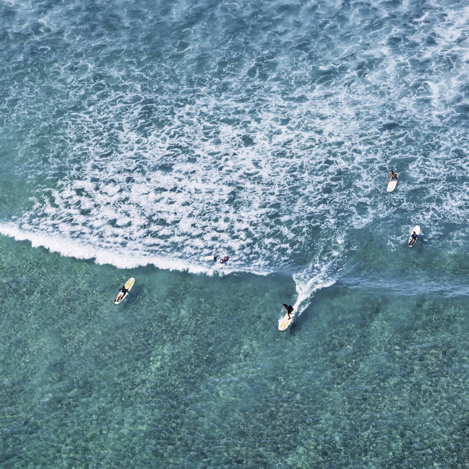 Long aerial view of a group of surfers as they slice through rippling turquoise waters ahead of a vast pattern of whitecaps.