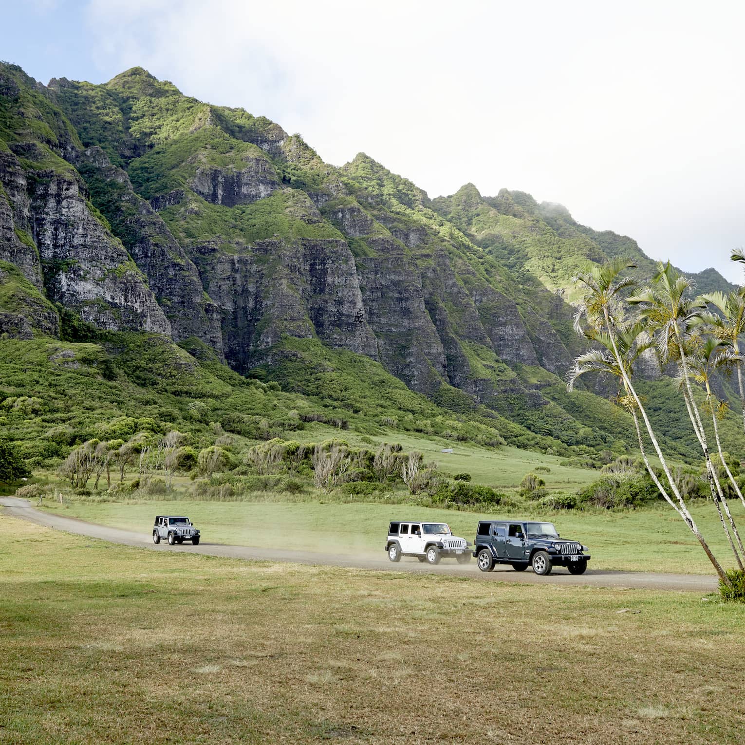A group of Jeeps drives along Jurassic-looking landscapes in the island of Oahu