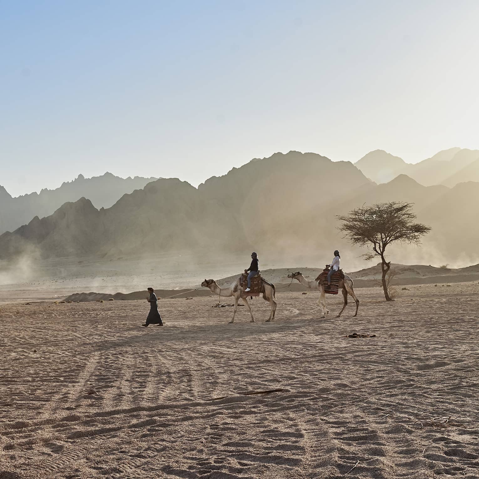People riding a camel in the desert near resort