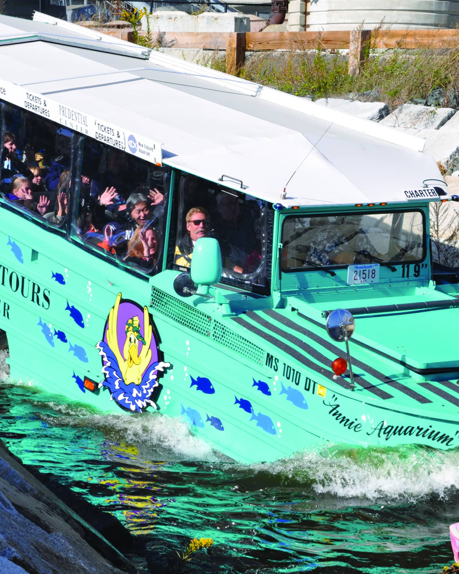 Green Boston Duck Tour bus with excited tourists in windows drives into the water