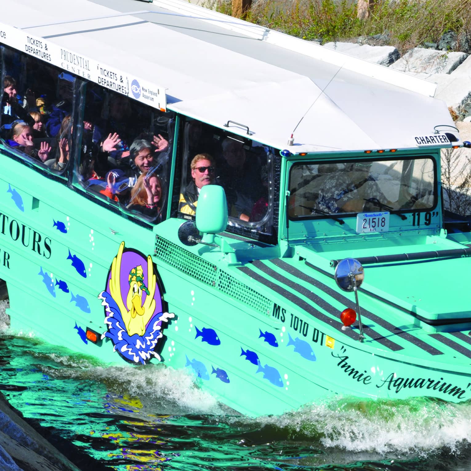 Green Boston Duck Tour bus with excited tourists in windows drives into the water