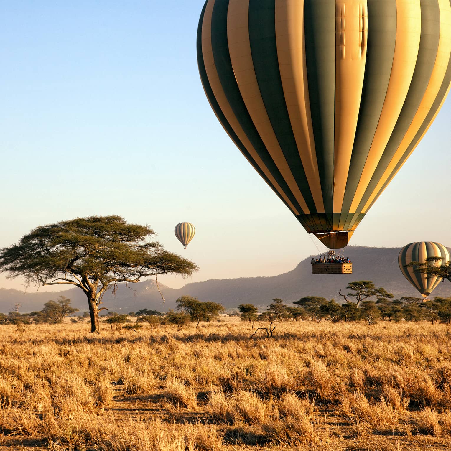 Hot air balloon ride in the Serengeti