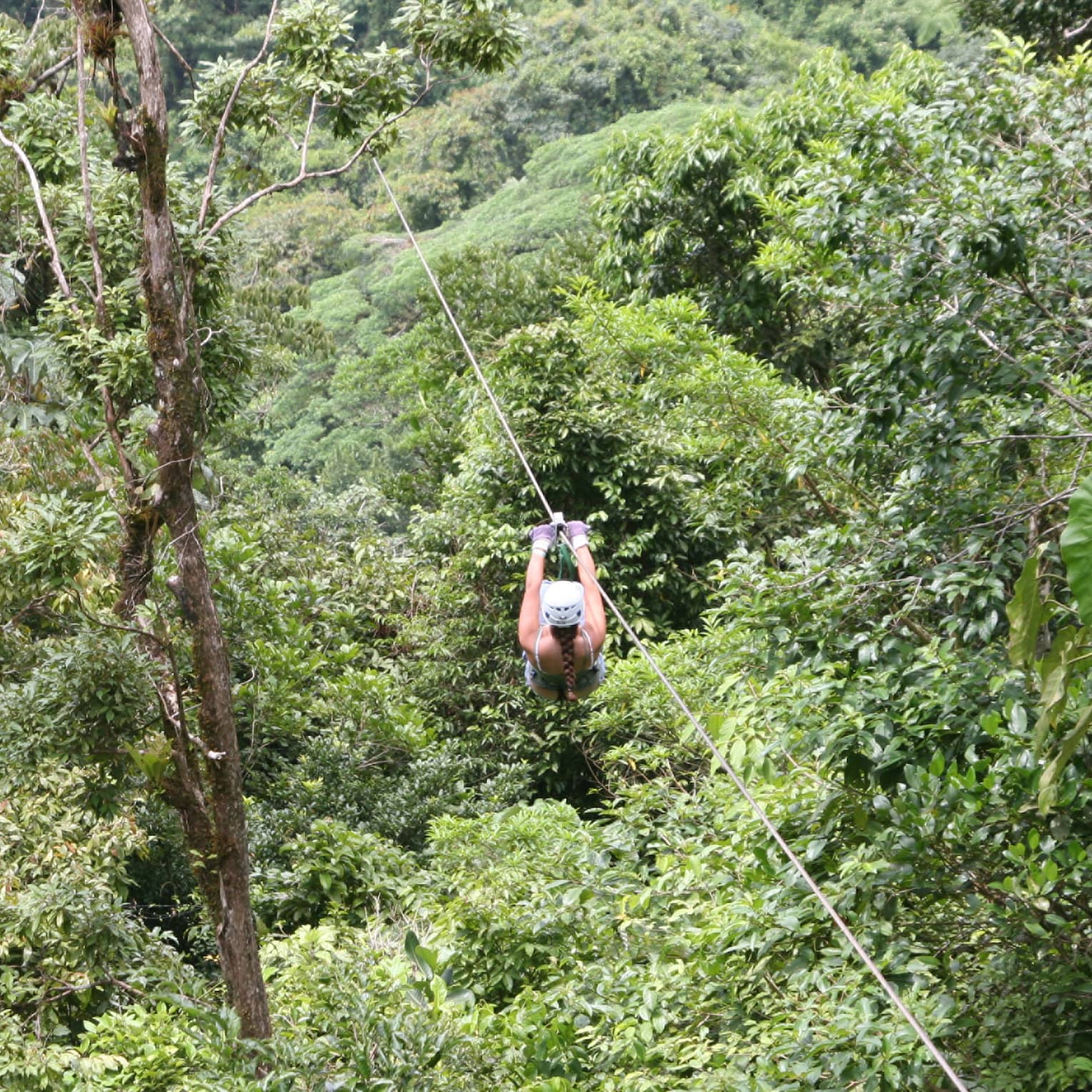Aerial view of a person zip-lining through dense forest. Gripping the handlebars, the adventurer soars above towering trees.