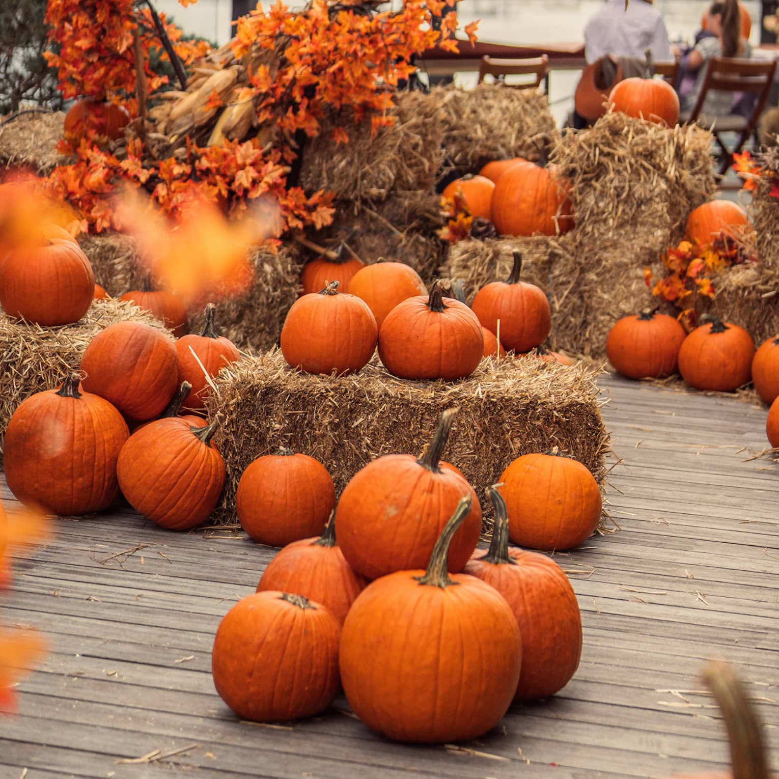 Pumpkins and hay on a wooden deck