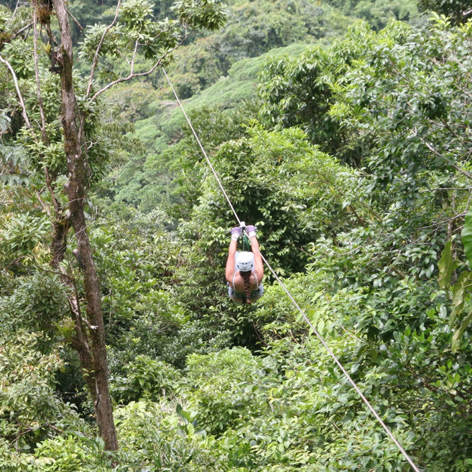 Aerial view of a person zip-lining through dense forest. Gripping the handlebars, the adventurer soars above towering trees.
