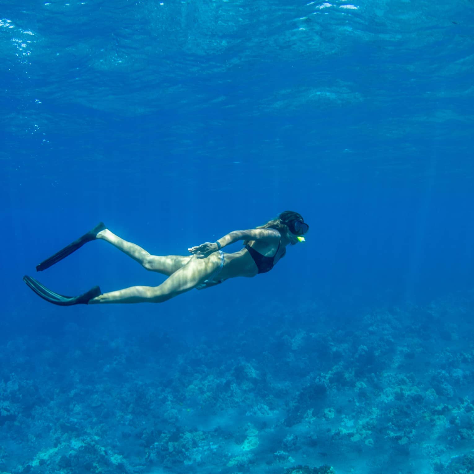 A snorkeller in black flippers and mask explores a rocky coral reef below, as rays of sunlight filter from above the blue water.
