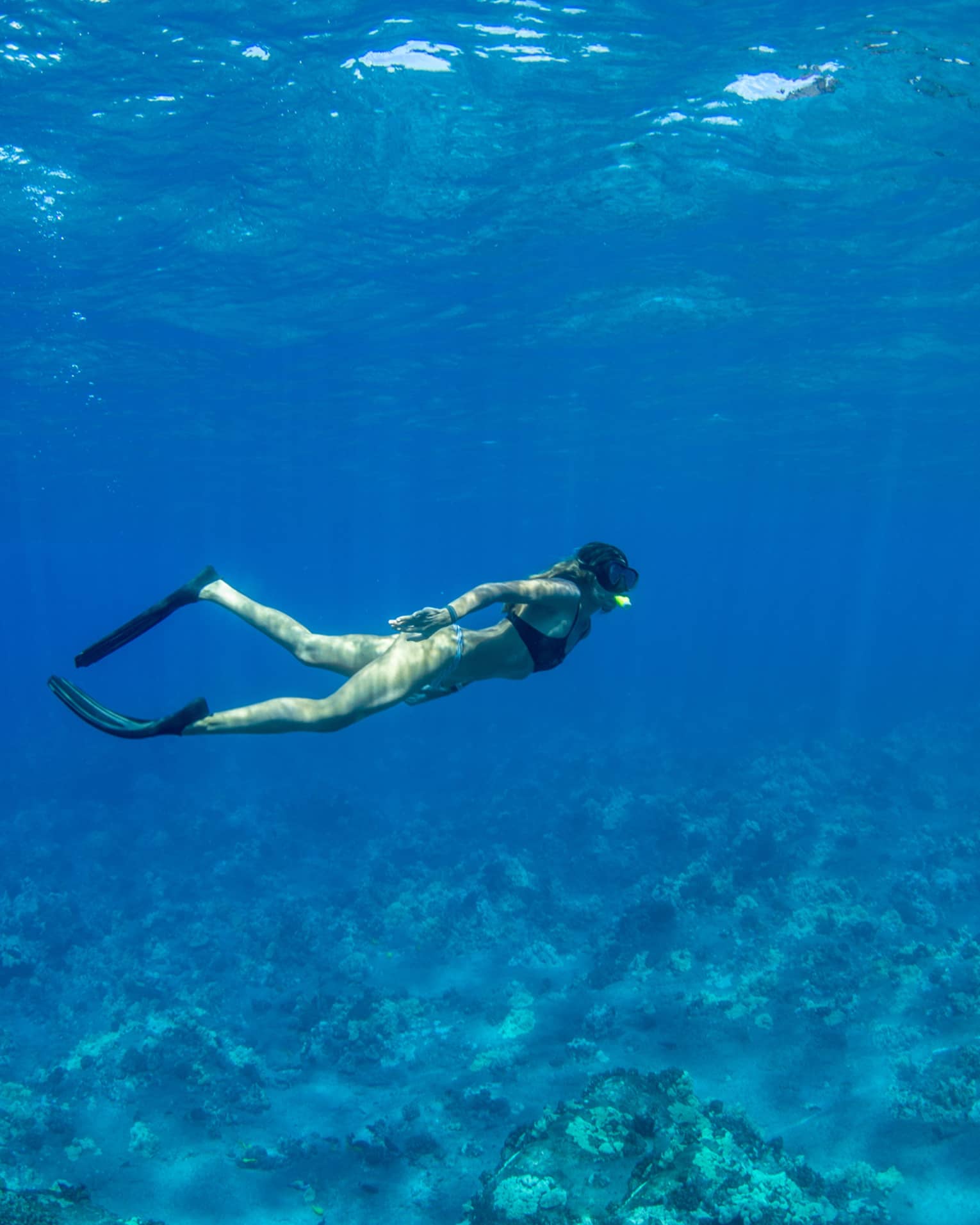 A snorkeller in black flippers and mask explores a rocky coral reef below, as rays of sunlight filter from above the blue water.