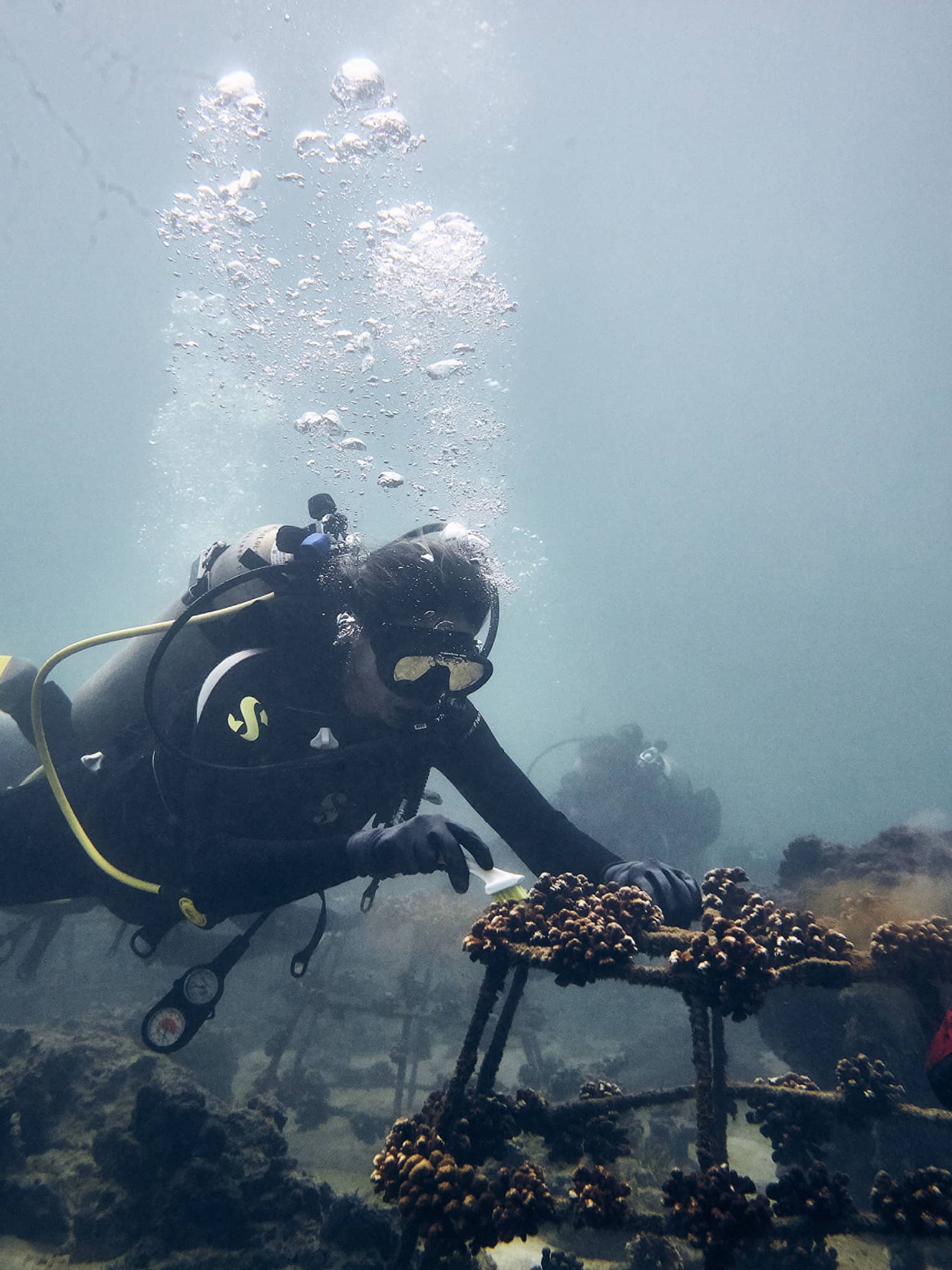 Two scuba divers inspect an underwater wreck