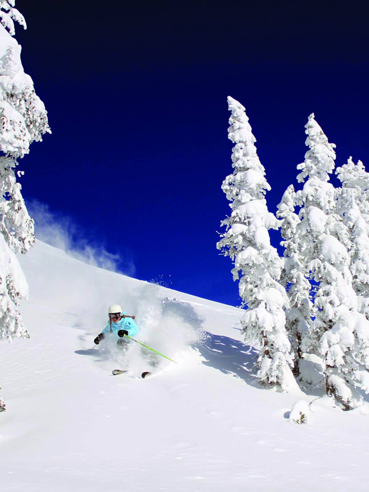 Person skiing down a fresh powder hill through snow covered trees on a clear day