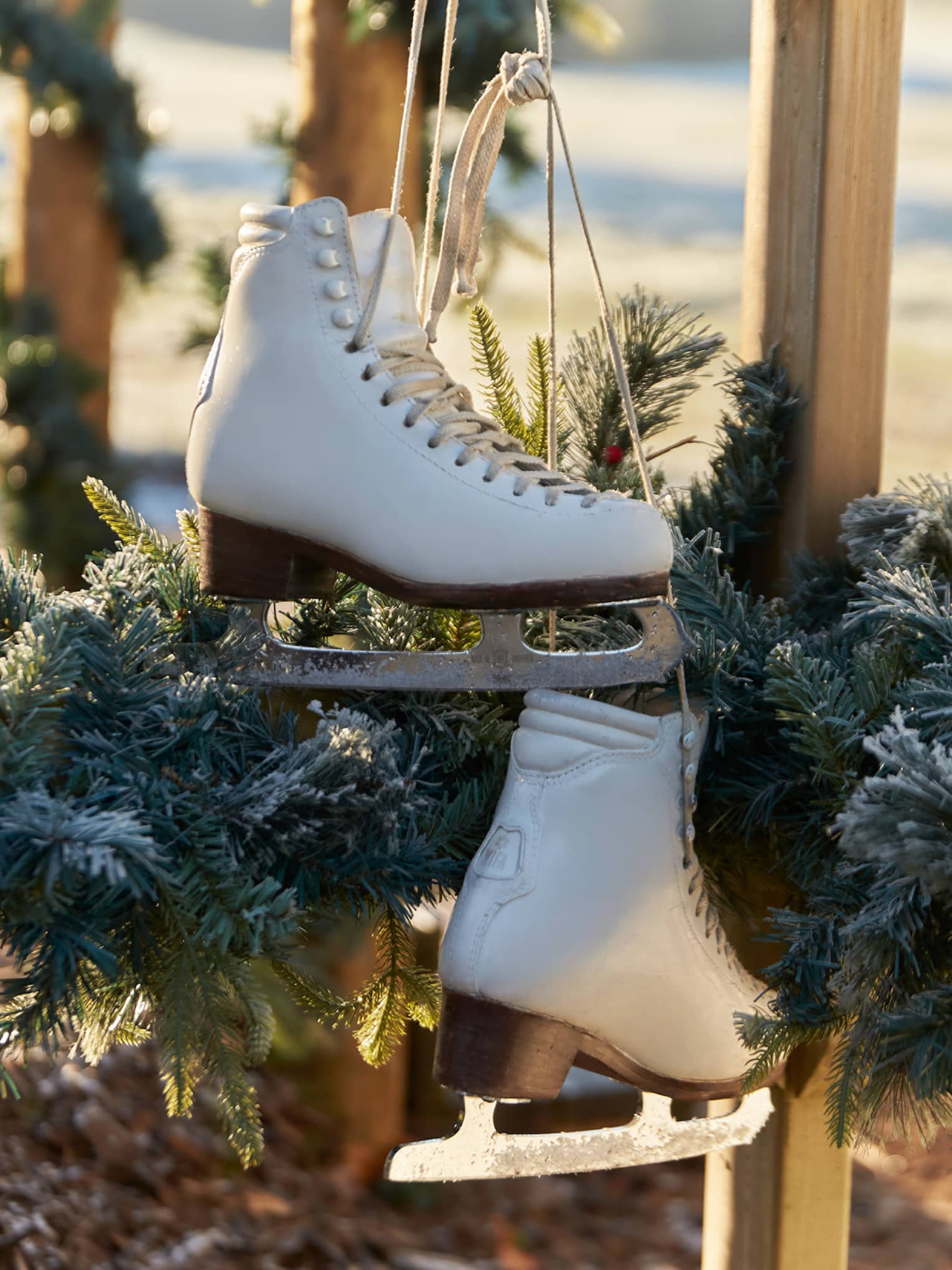 Ice skates hanging up by a tree.
