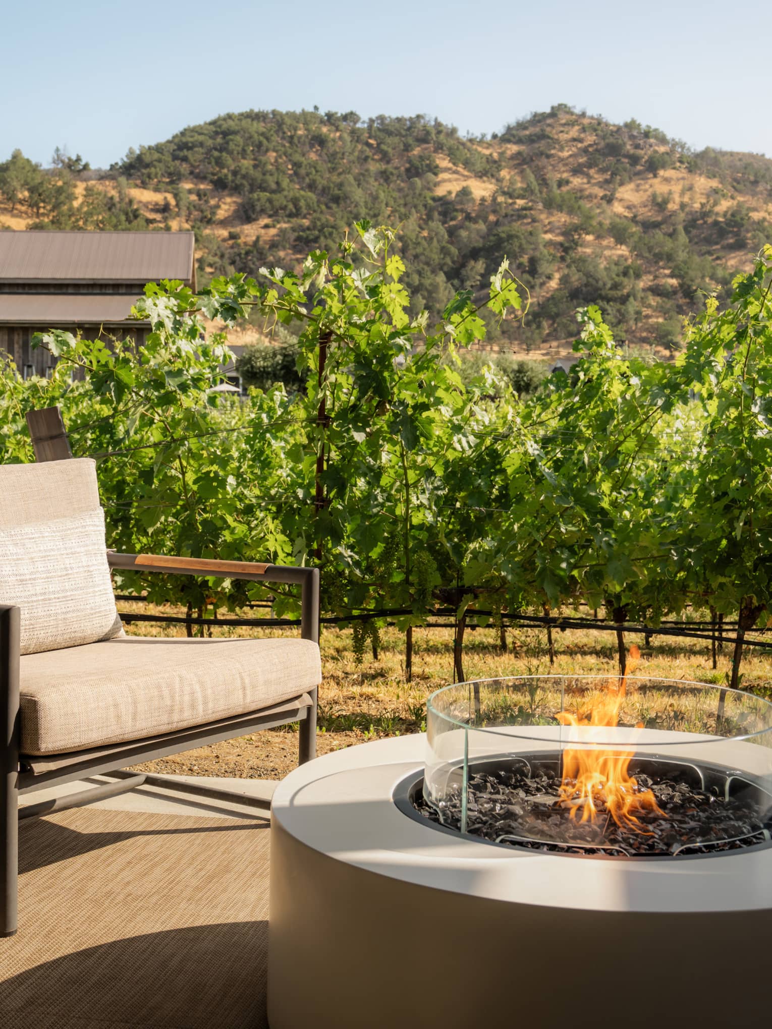 Circular gas fireplace on outdoor patio next to lush vineyards