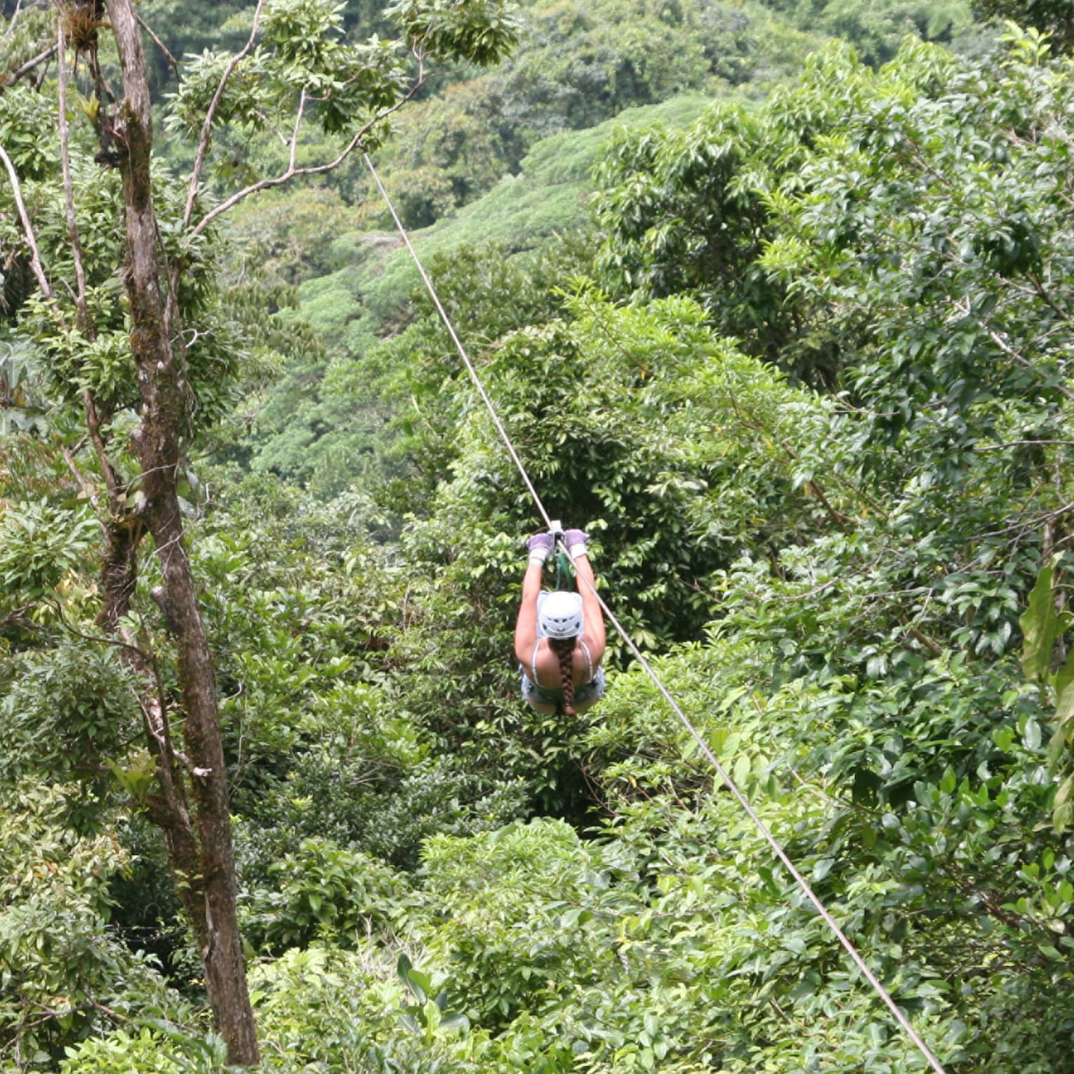 Aerial view of a person zip-lining through dense forest. Gripping the handlebars, the adventurer soars above towering trees.