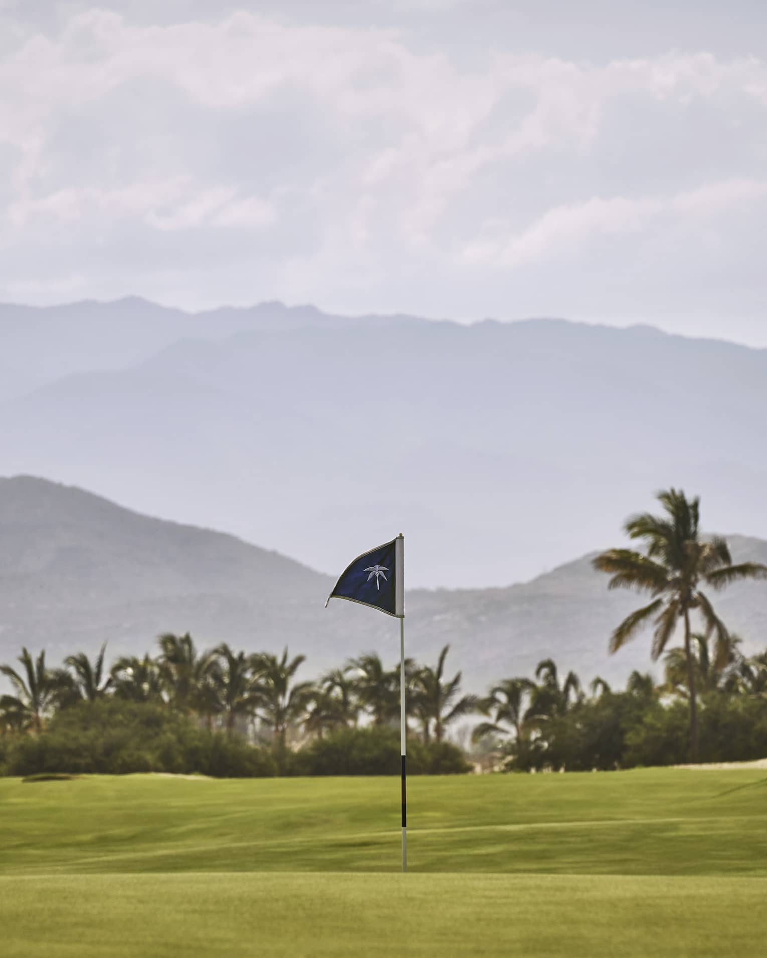 A putting green with a view of tropical trees and mountains behind
