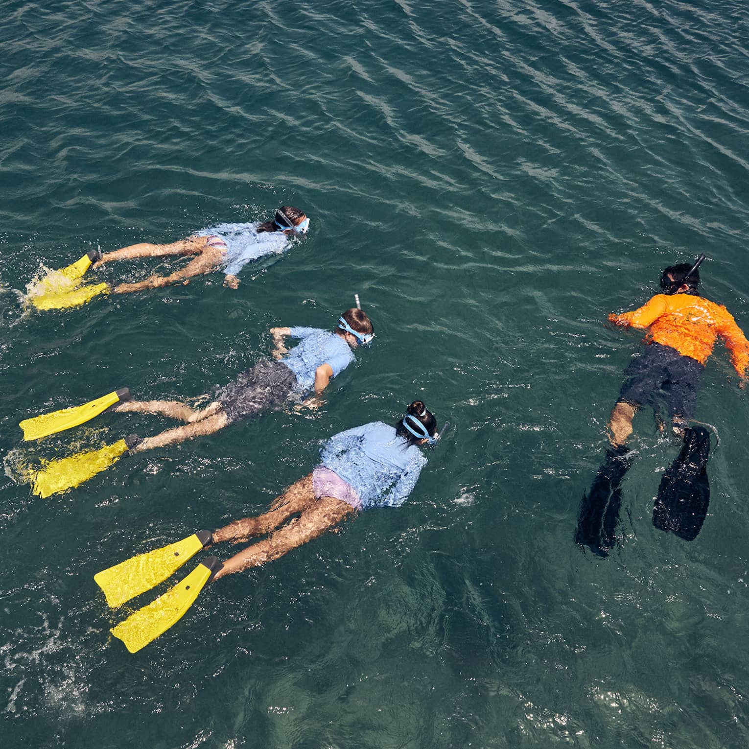 Overhead view of three people wearing light-blue swim shirts and yellow flippers swim next to an instructor wearing an orange swim shirt and black flippers