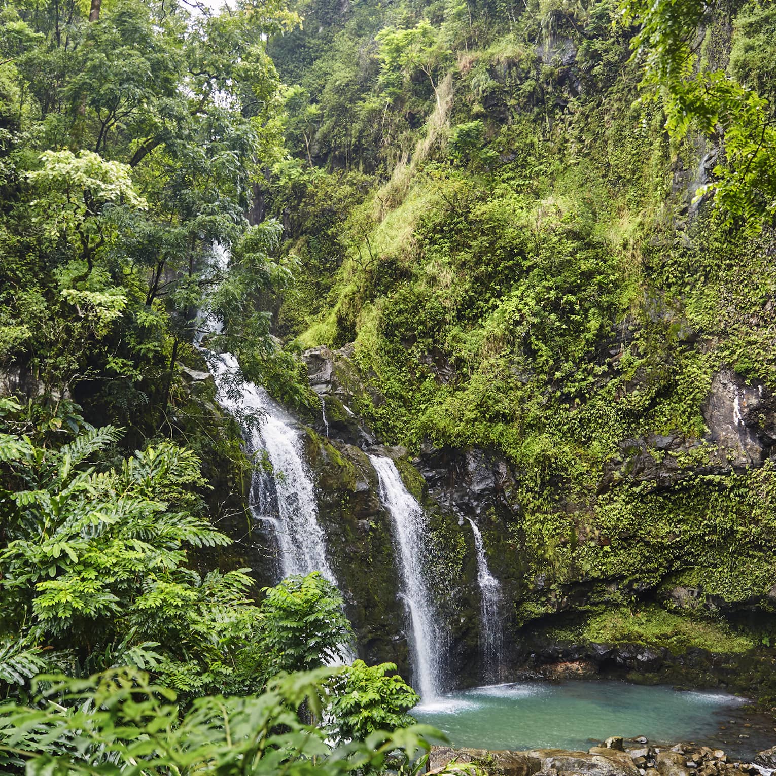Waterfall flows over rock surrounded by lush green tropical forest