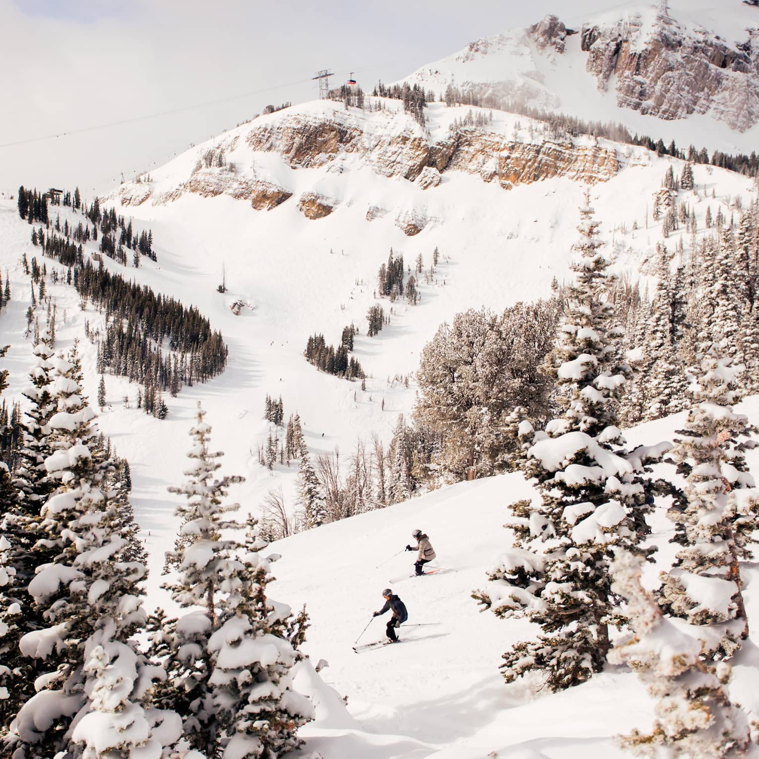 Aerial view of two skiers high up on mountain slope between trees