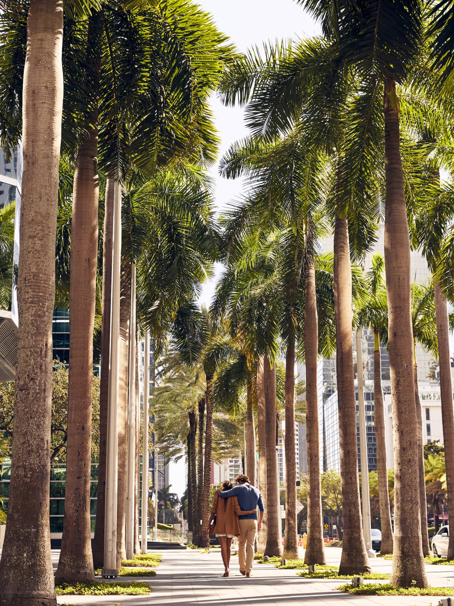 Couple walks in arm in arm down a palm tree?lined sidewalk