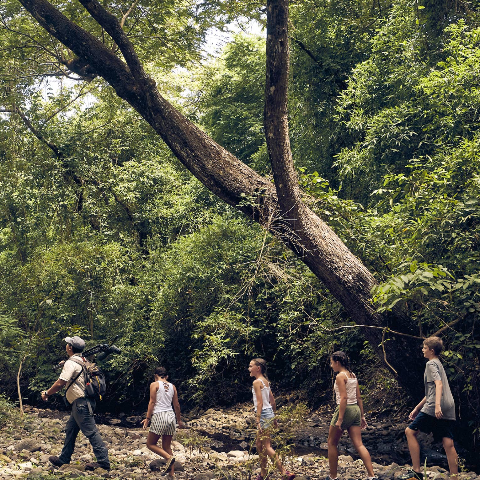 A group of people hiking through a forest.