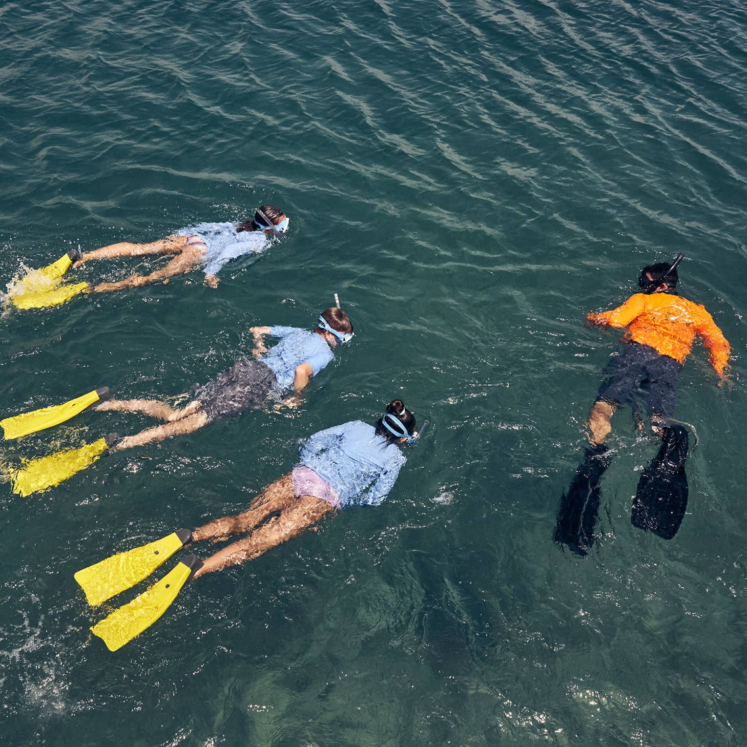 Overhead view of three people wearing light-blue swim shirts and yellow flippers swim next to an instructor wearing an orange swim shirt and black flippers