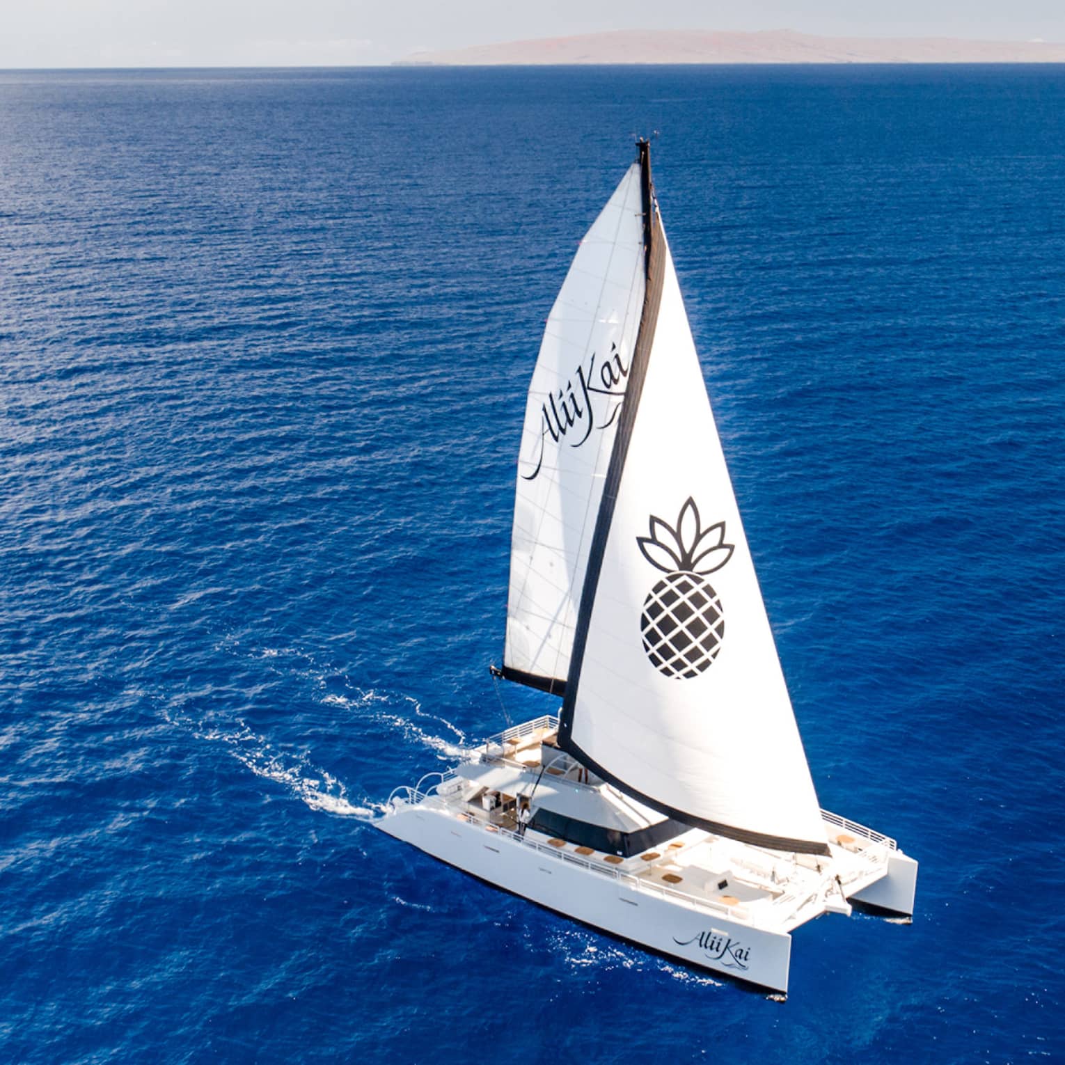 Luxury sail boat with pineapple on the sail, from Four Seasons Resort Maui