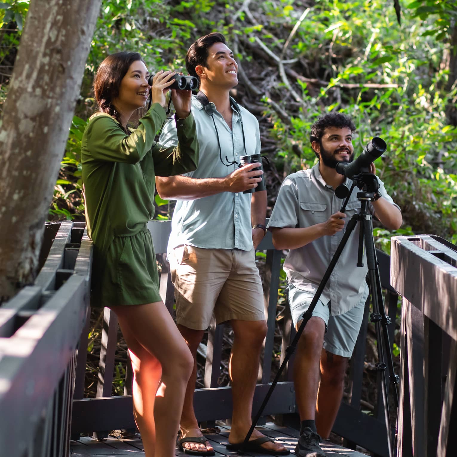 A woman holding binoculars, a man holding a recorder and a guide holding a camera on a tripod are gathered on a wooden forest walkway for bird watching