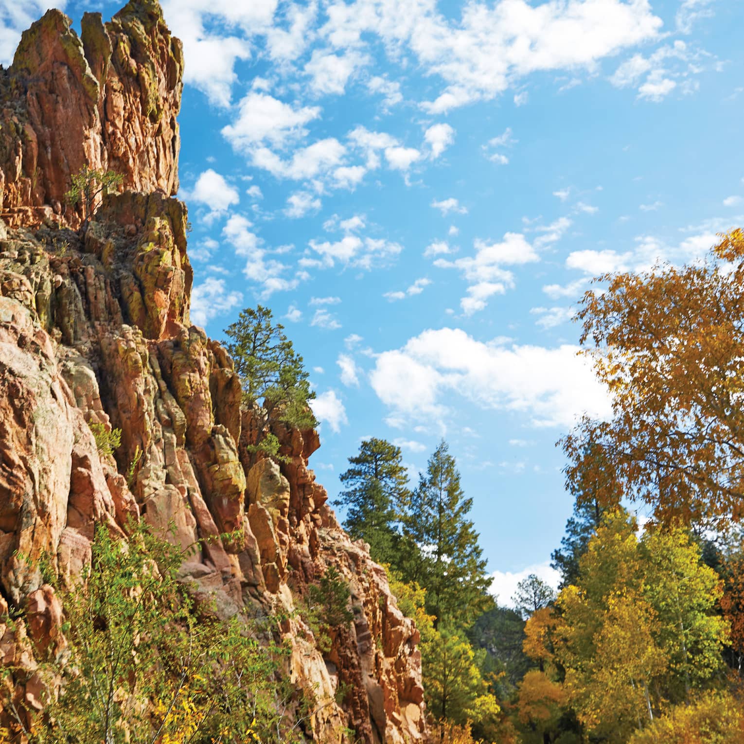 Red-rock mesas next to round, surrounded by trees, blue sky with clouds