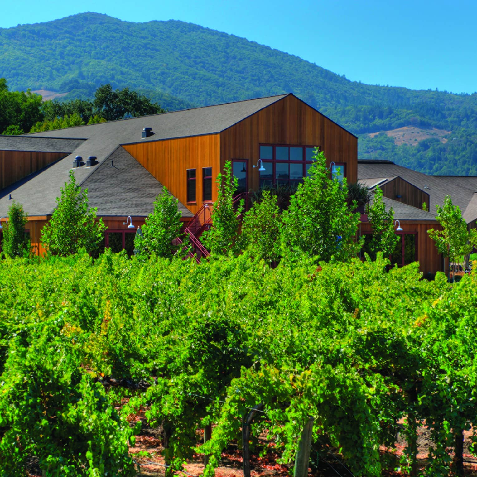 A building surrounded by trees with the mountains in the background