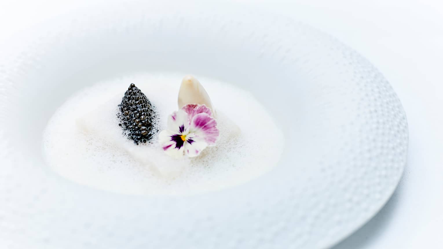 Caviar, purple flowers in white foam in dish