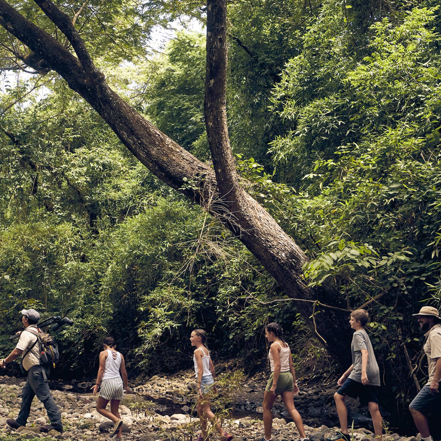 A group of people hiking through a forest.