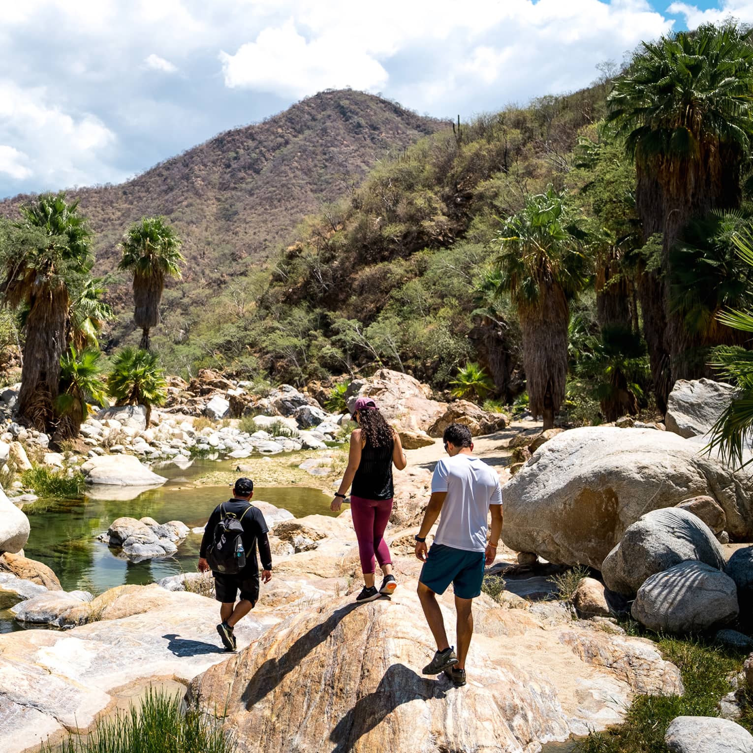 Rear view of three people hiking over boulders along a valley stream flanked by palm trees and verdant hills on a sunny day.