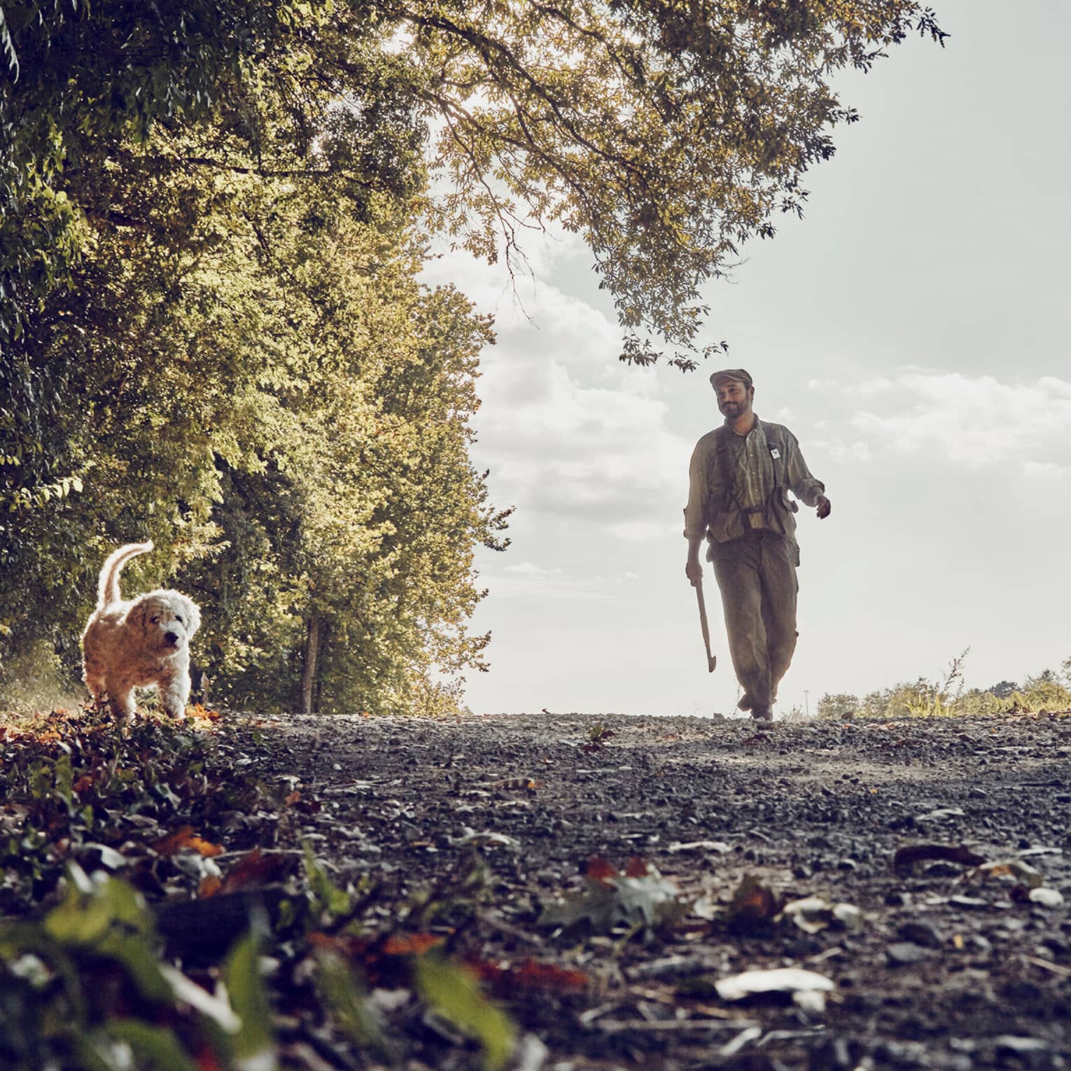 Man walks dog along tree-lined trail on country road