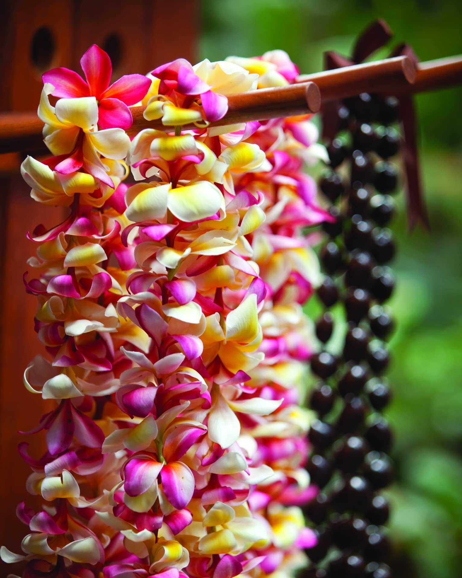 Close-up of fresh white, yellow and pink tropical flowers, strands of black beads