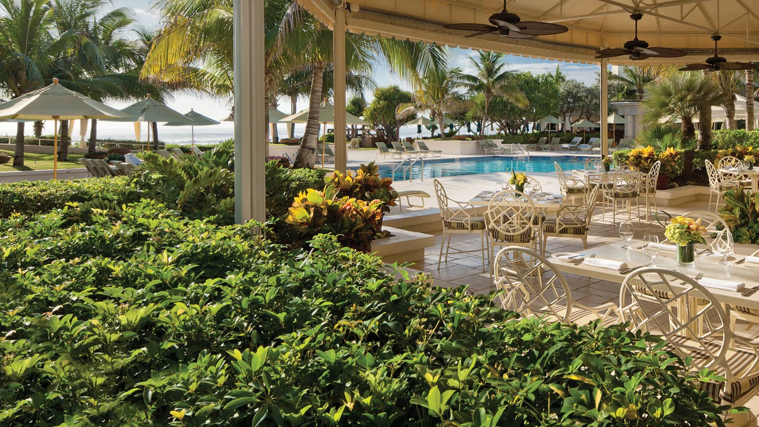 Luxury Palm Beach Hotel | Couples & Family Getaway | Four Seasons