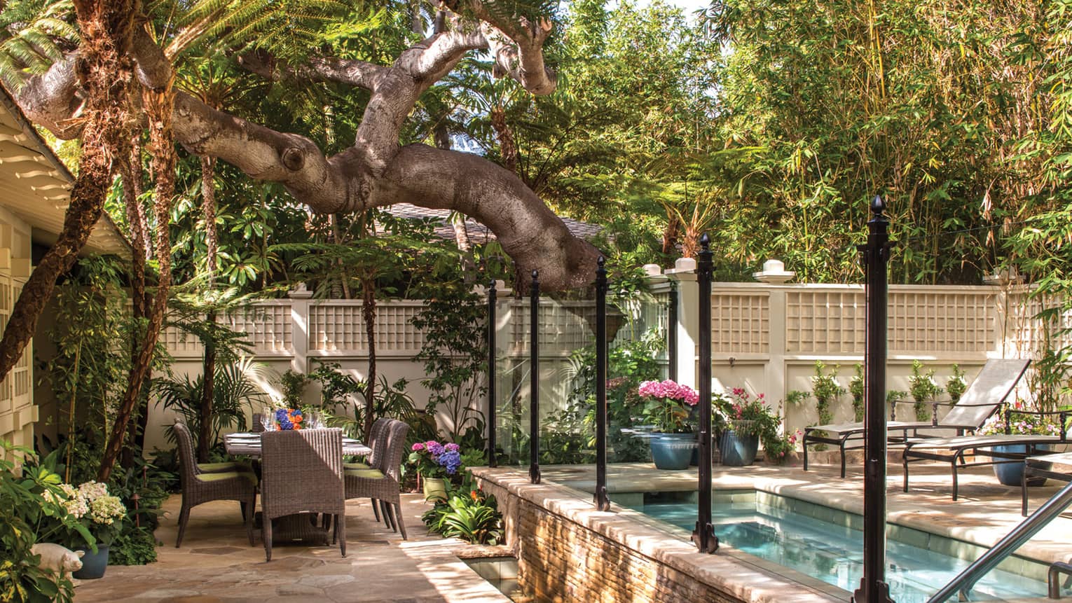 Large tree, branch hanging over Ty Warner bungalow patio dining table, plunge pool, flowers