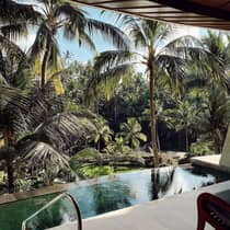 Private pool overlooking palm trees by river