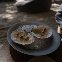 Fresh scallops served chilled in the shell, topped with red caviar and a green sauce