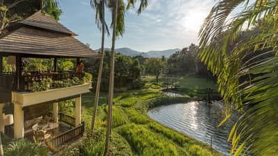 Woman stands on second floor balcony, looks beyond palms to green grass, river below