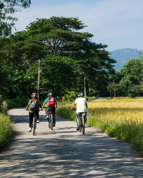 Three cyclists ride down a rural road surrounded by lush greenery and golden fields, with mountains in the background and a small rustic hut to the side.