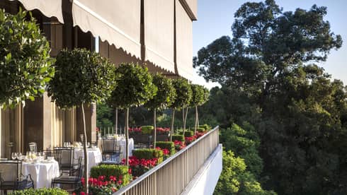 Veranda Terrace Side view of patio dining tables, potted trees