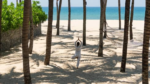 A person holding a standing yoga pose on a beach underneath a group of palm trees