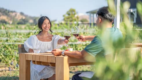 Two people sitting at an outdoor table in a vineyard, toasting with glasses of red wine, with greenery and hills in the background.