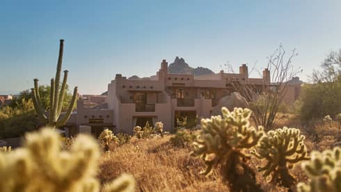 An outdoor scene featuring a beige building under a clear, pale blue sky, with mountains in the background and cactuses in varying shades of green, golden-brown grasses and other plants in the foreground