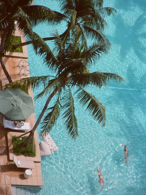 Aerial view of resort pool with palm trees